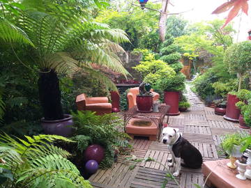 Chambre Chez L'habitant Antony 42728-10