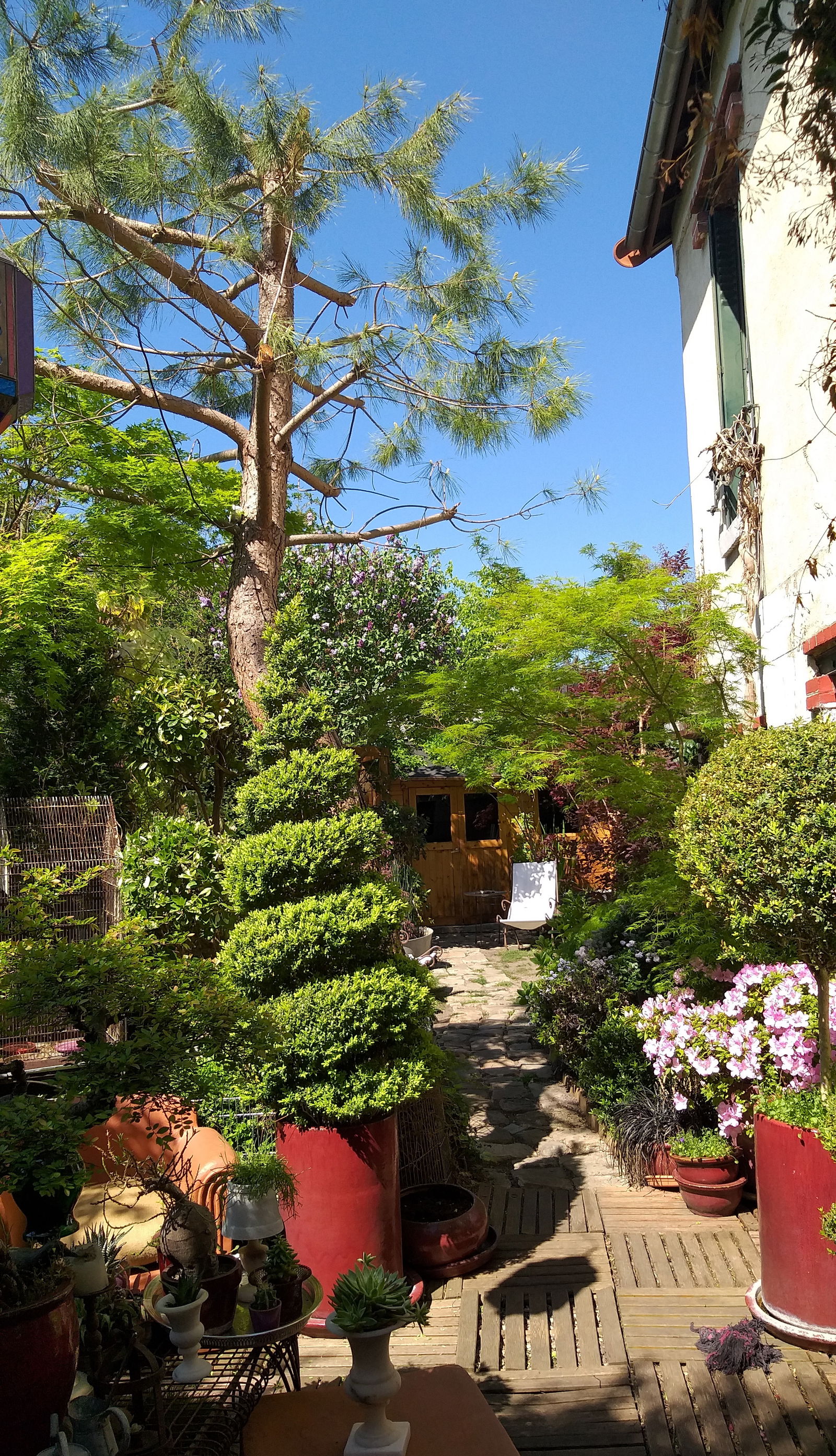 Homestay Antony 42728