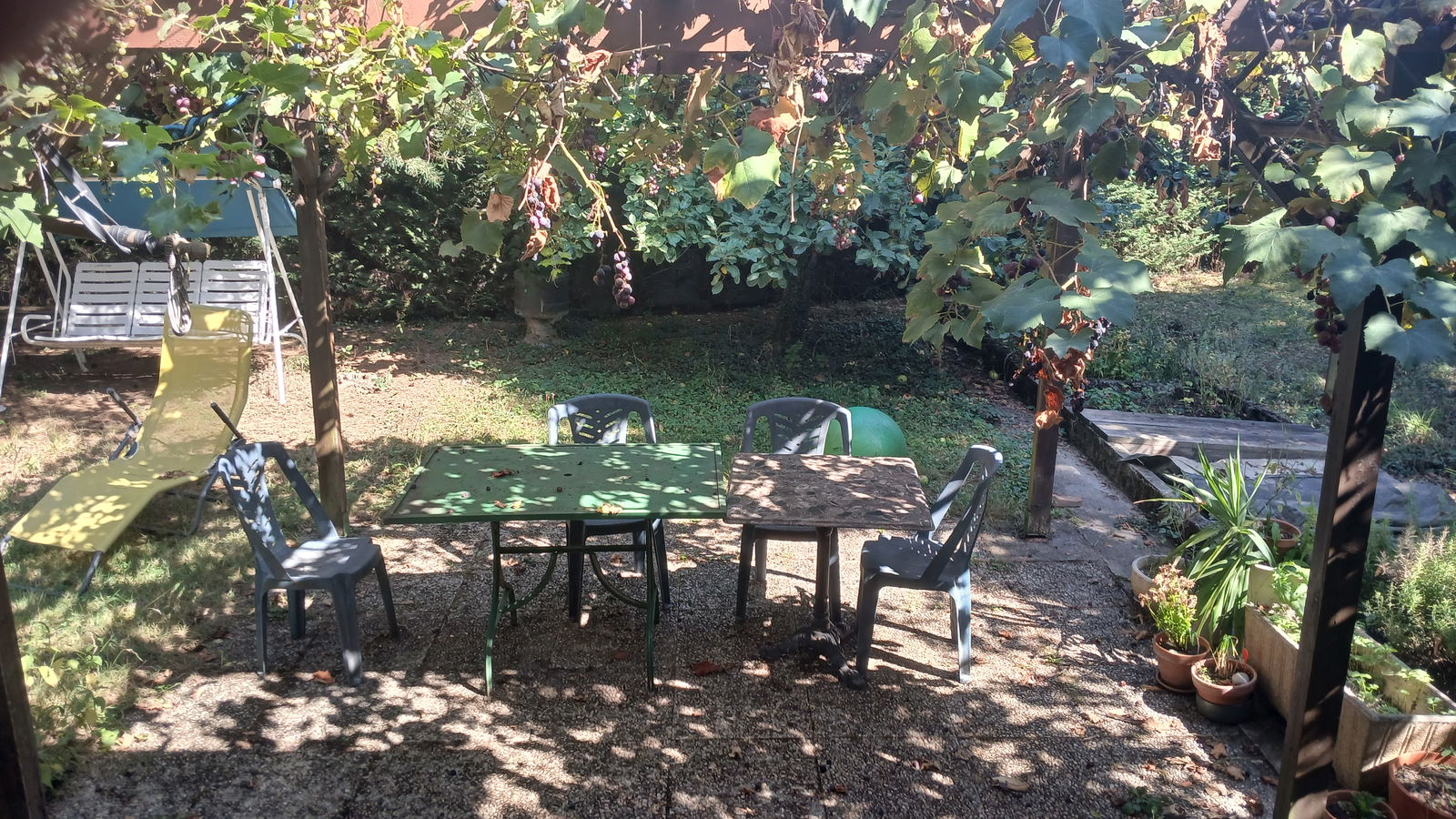 Homestay Lancy 419759