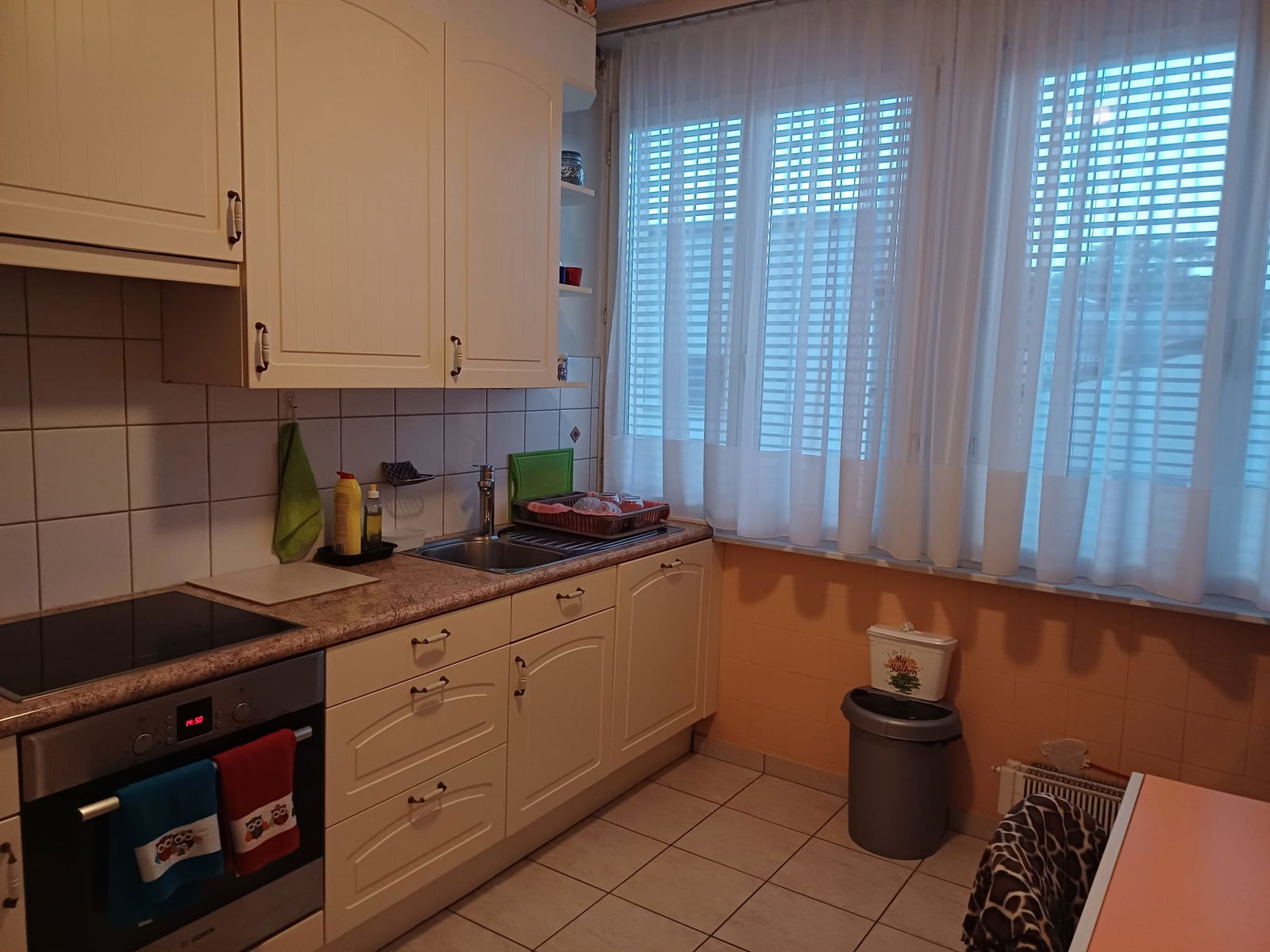 Homestay Corsier-sur-Vevey 503610