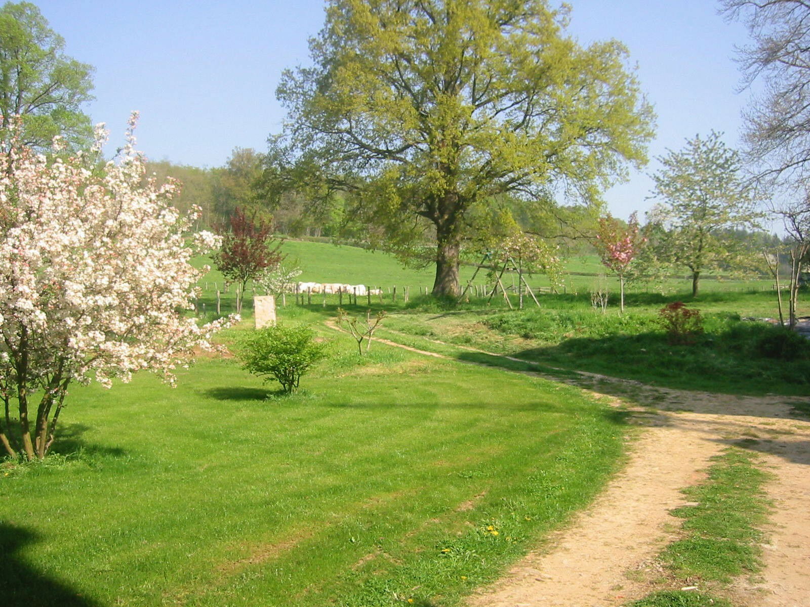 Homestay Marigny 98943