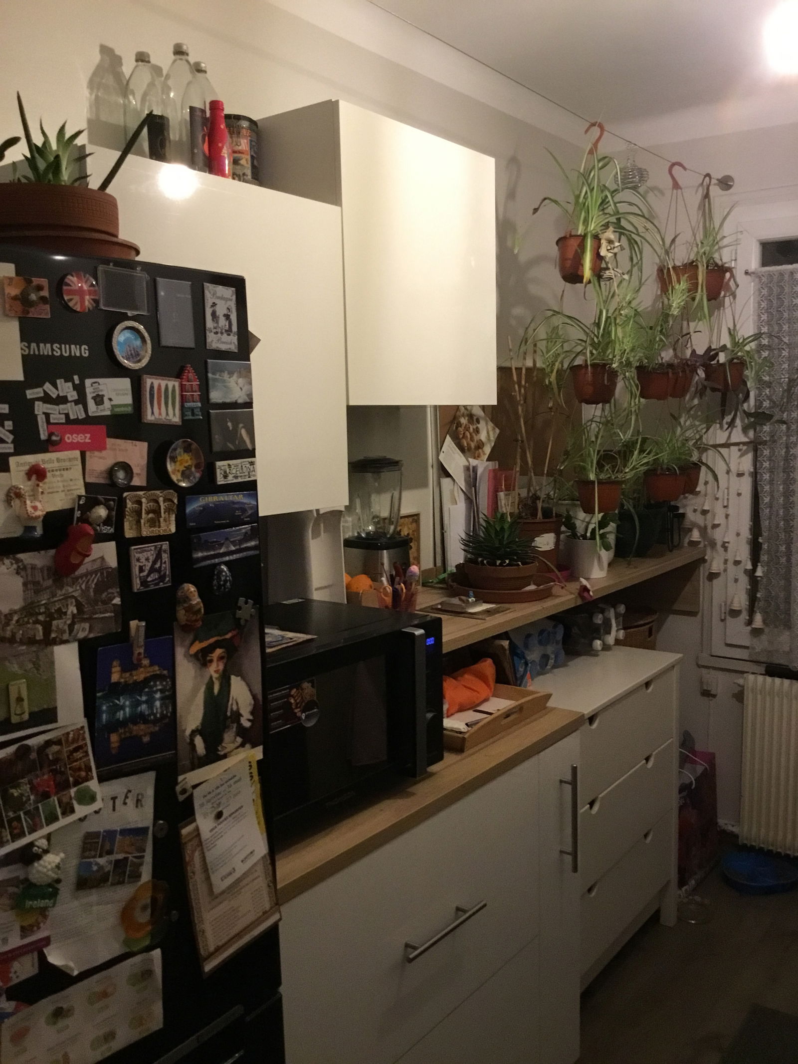 Homestay Lyon 1384