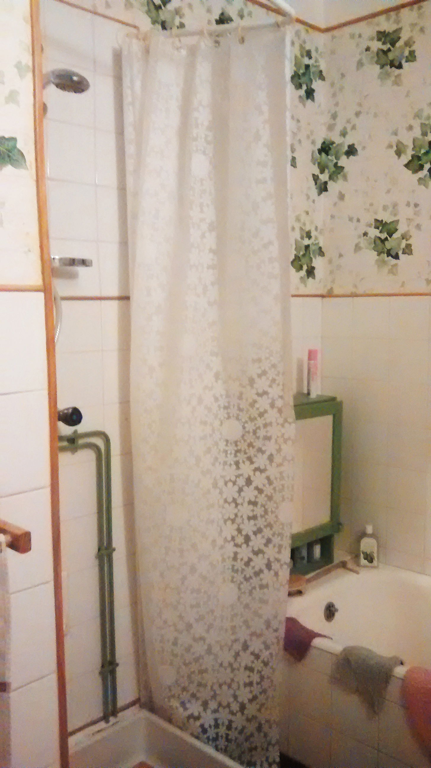 Homestay Grenoble 31049