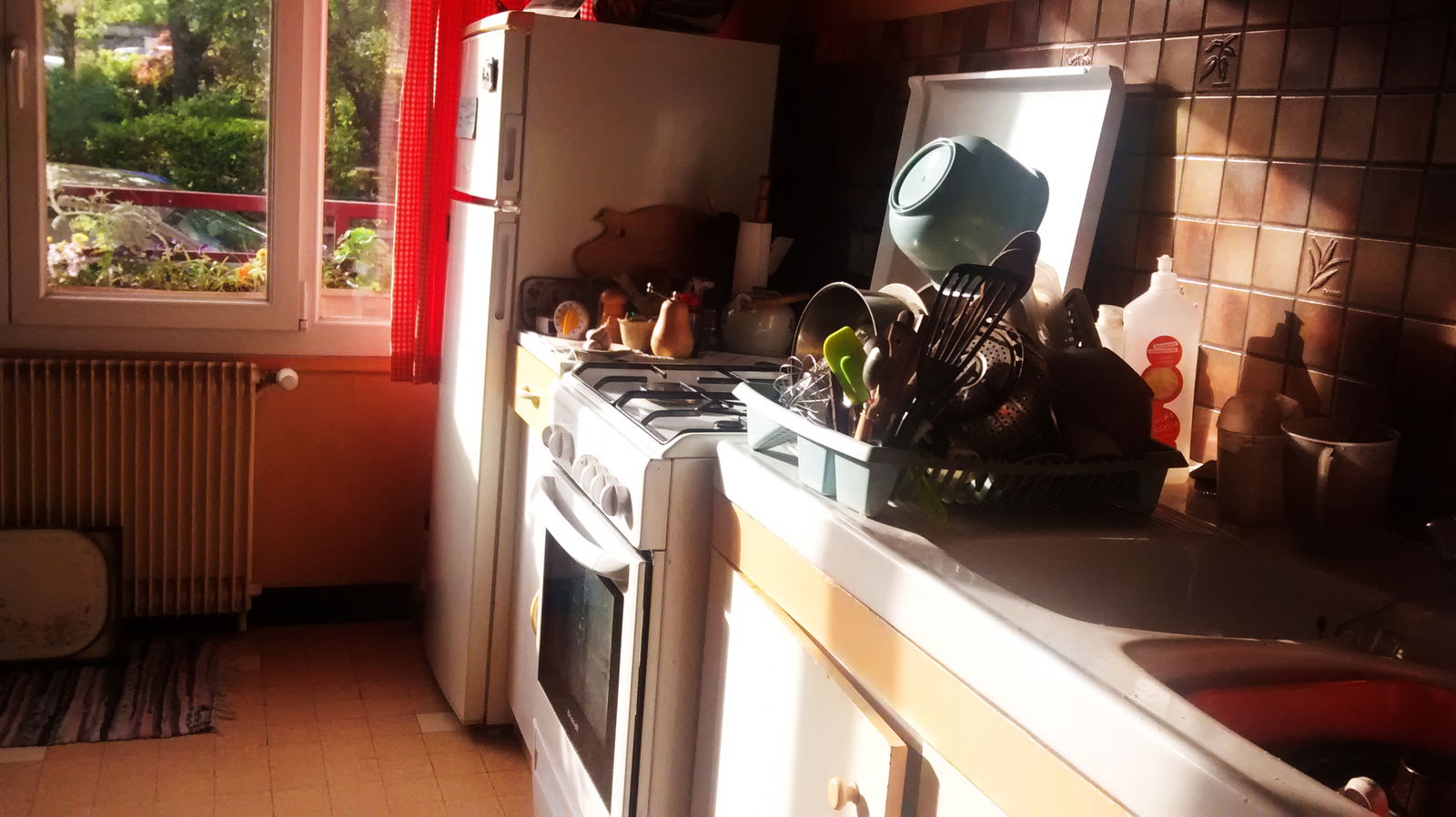 Homestay Grenoble 31049
