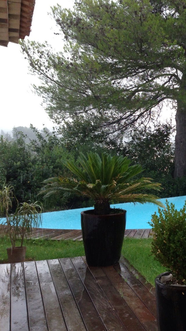 Homestay Aix-en-Provence 33391