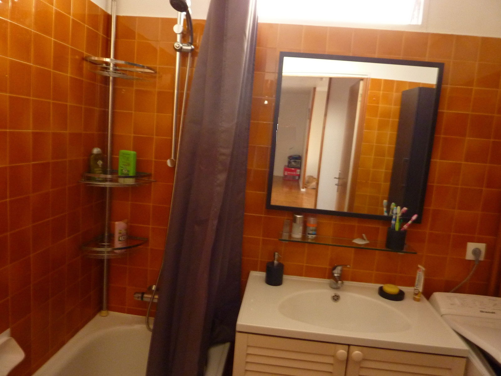 Homestay Villeurbanne 72515