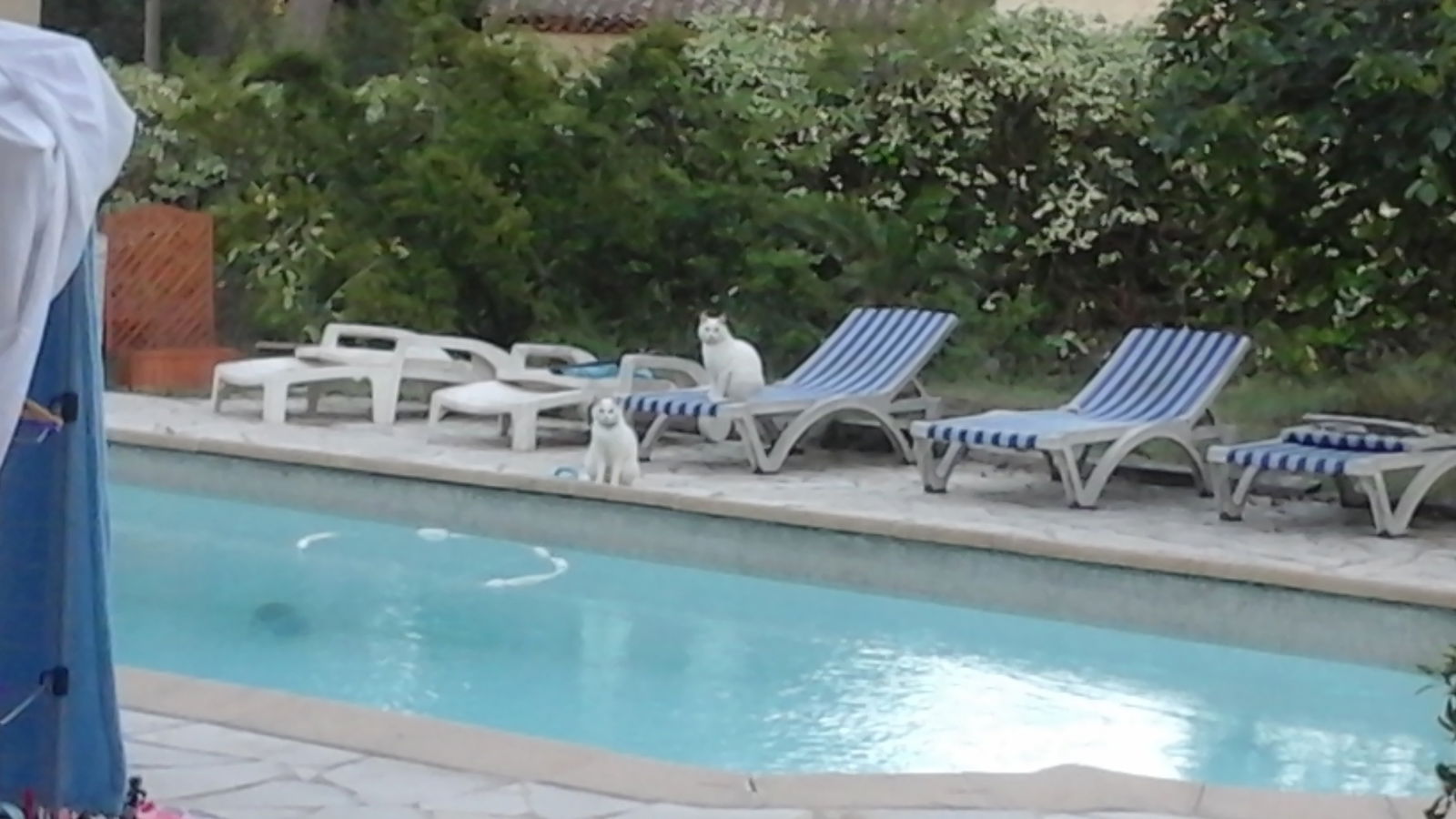 Homestay Mougins 73197