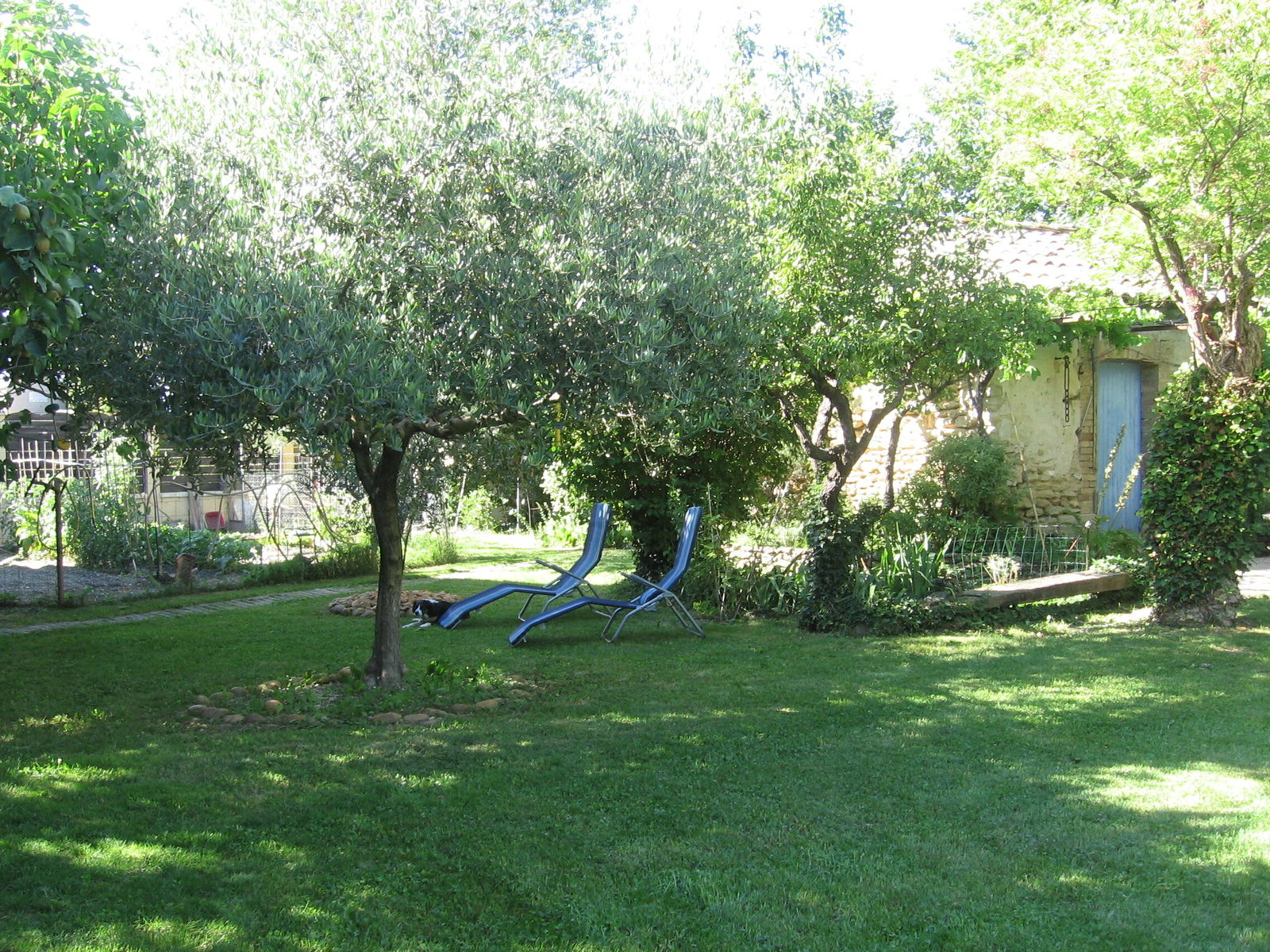 Homestay Courthézon 77769