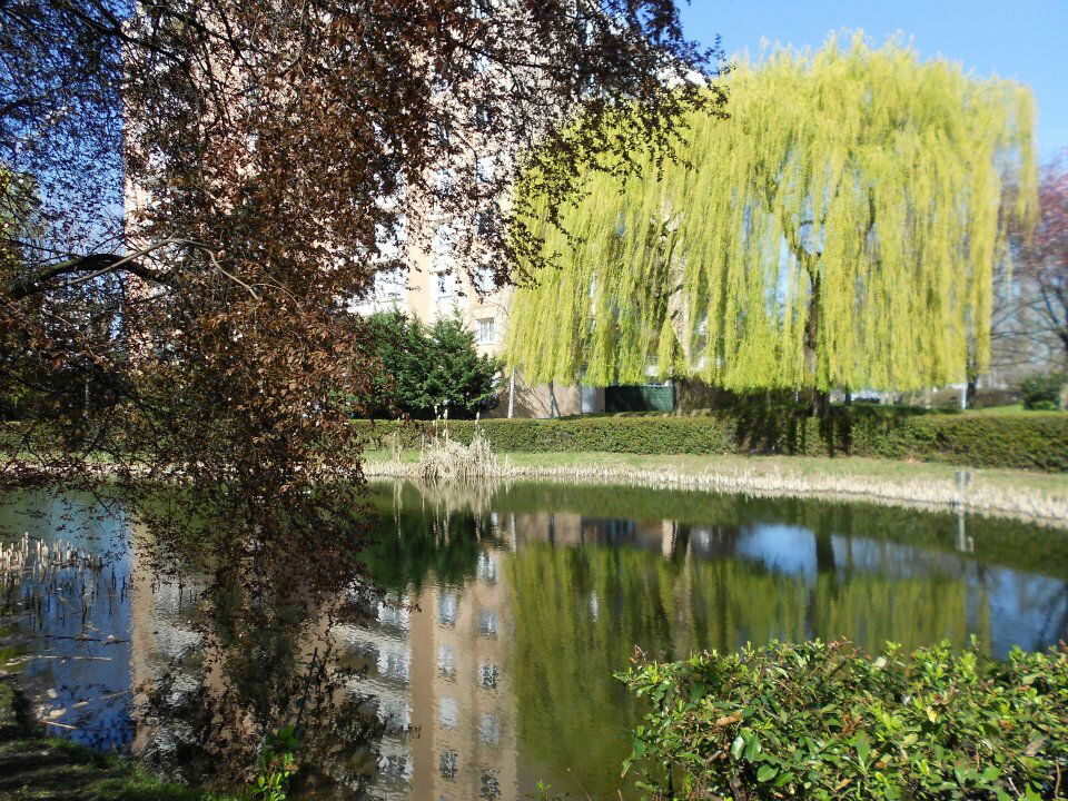 Homestay Boissy-Saint-Léger 92407