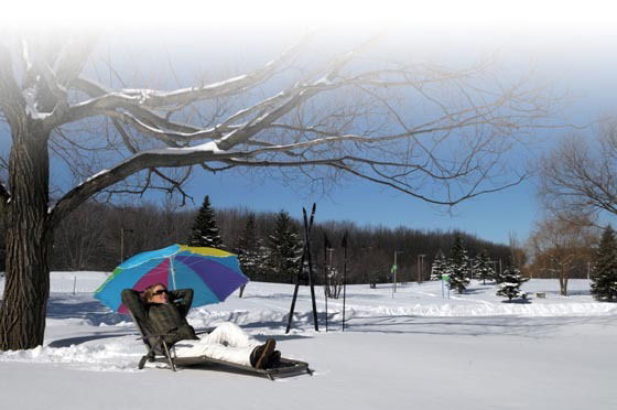 Homestay Longueuil 93233