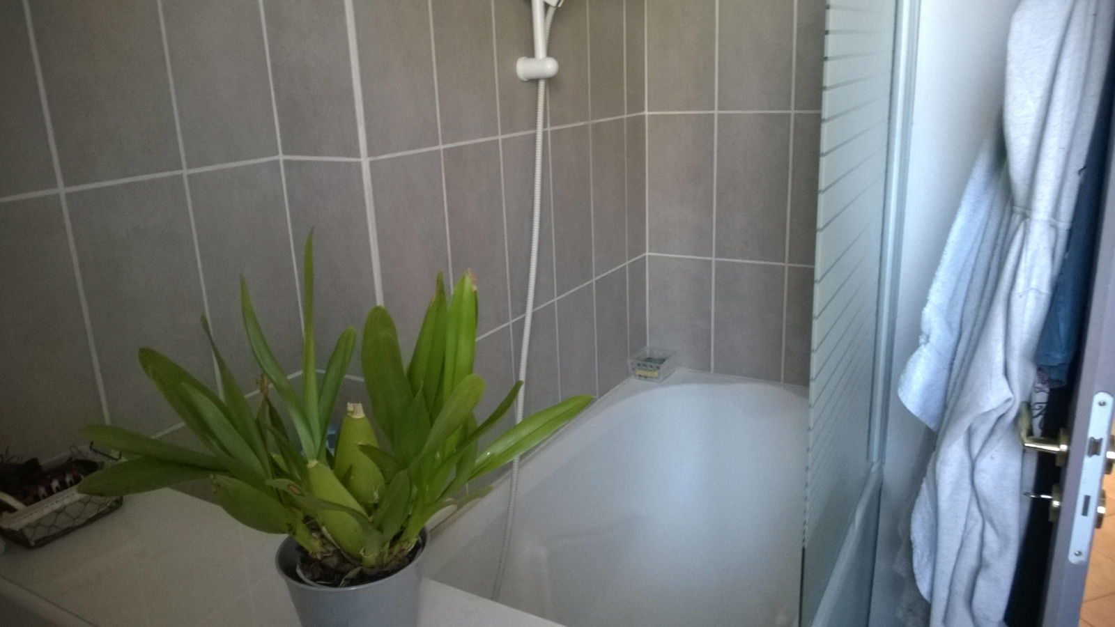 Homestay Jonquierès 95071