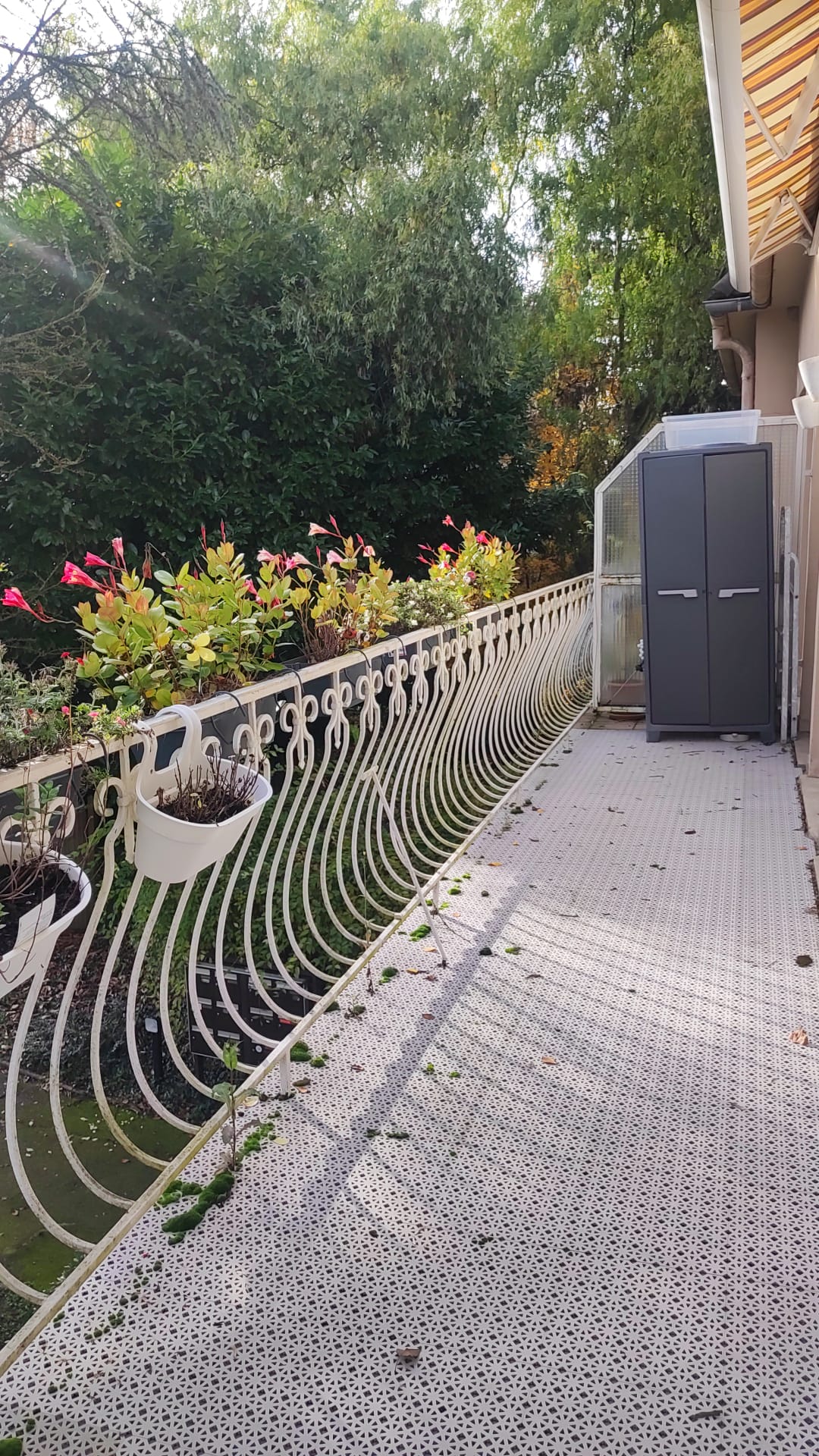 Homestay Oberhausbergen 655314