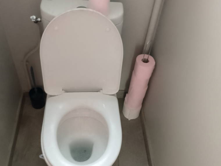 Chambre Chez L'habitant Tullins 592088