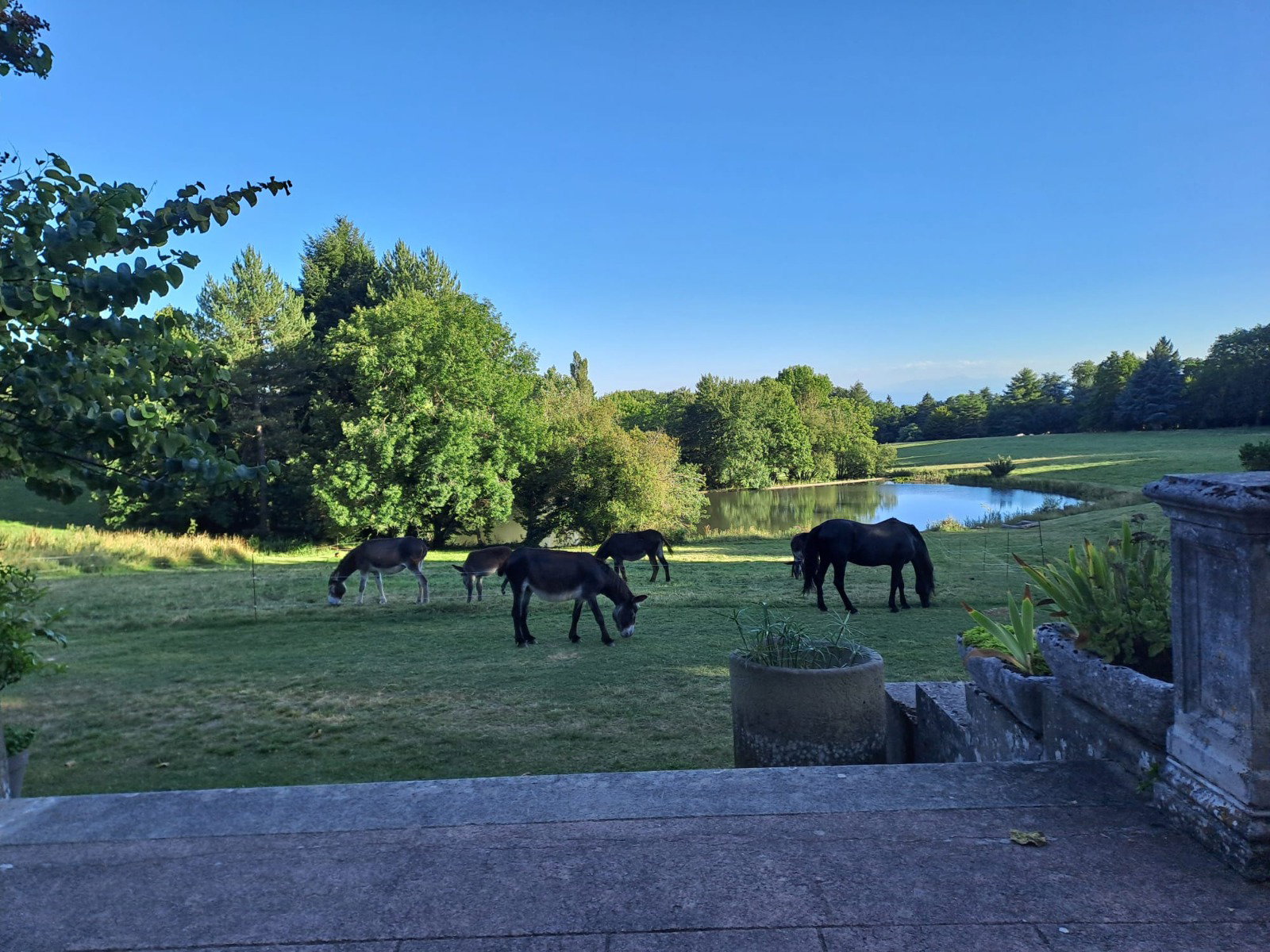 Homestay Laprade 660989