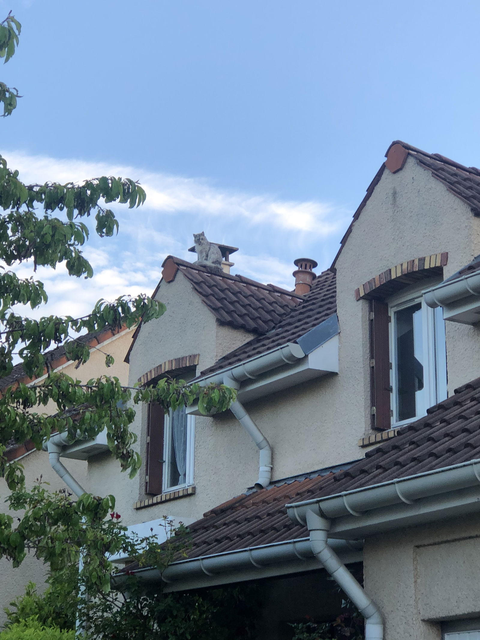 Homestay Villepreux 333903