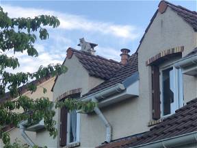 Chambre à Louer Au Calme Chez L'habitant - Douche Privative