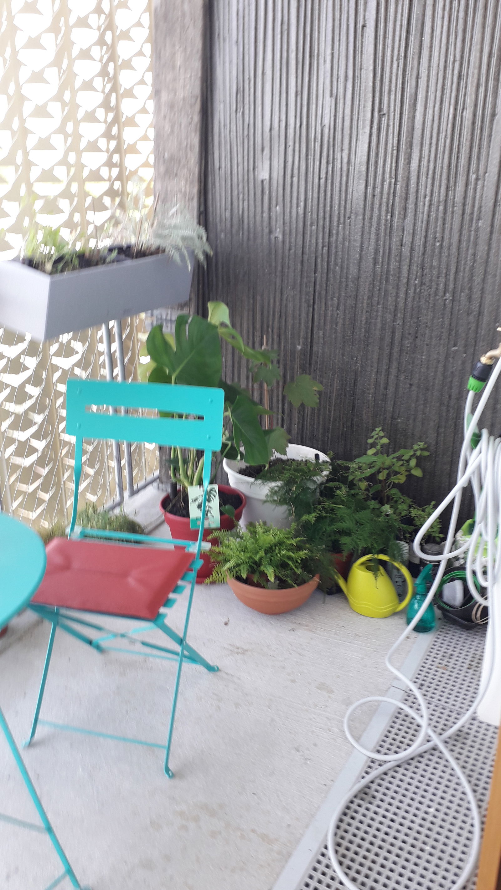 Homestay L'Île-Saint-Denis 232590