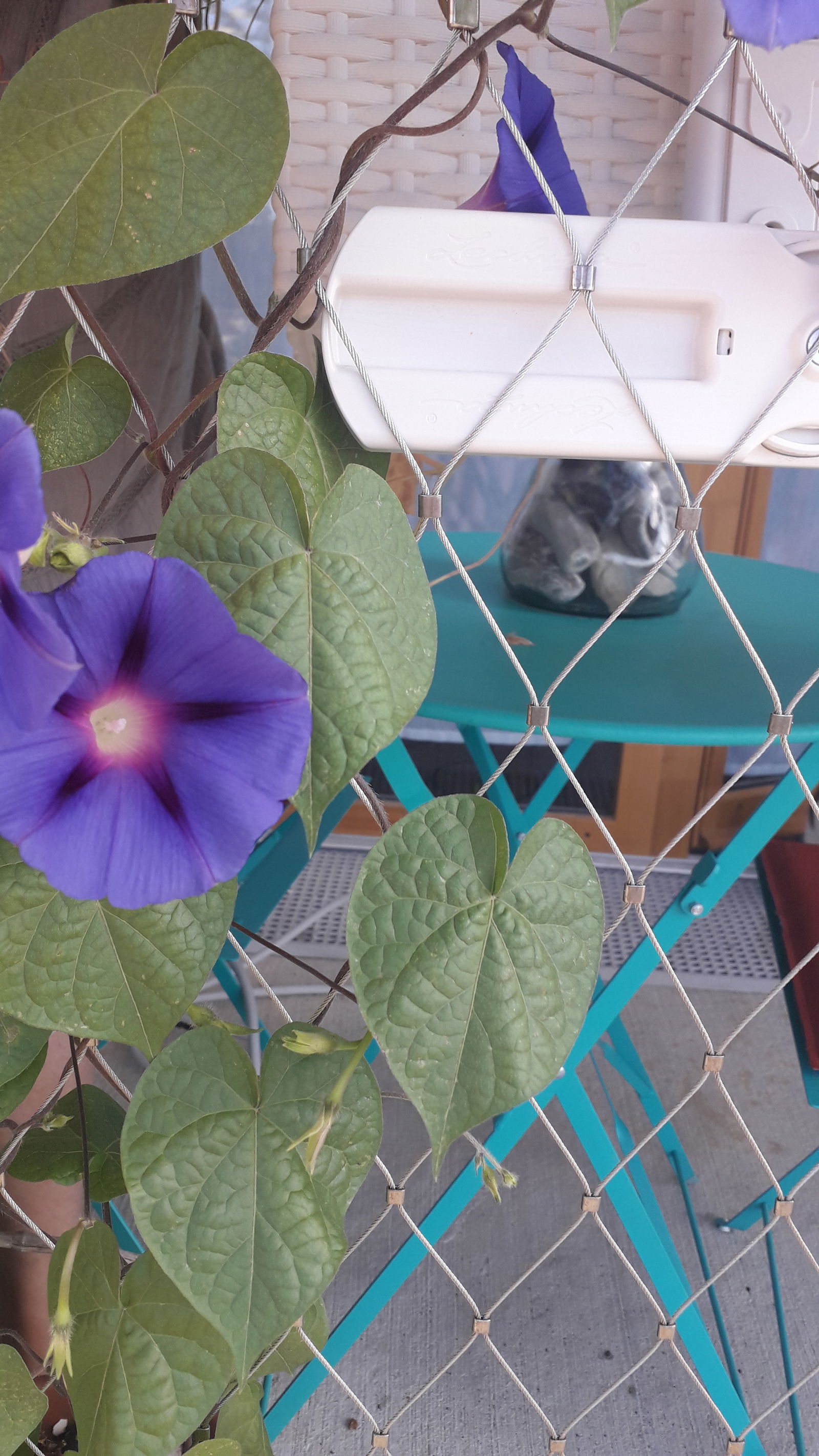 Homestay L'Île-Saint-Denis 232590