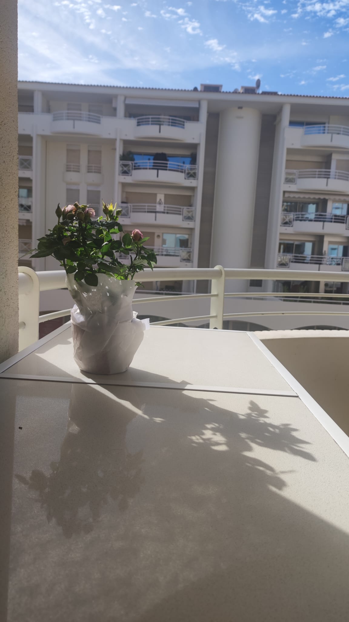 Homestay Antibes 354919