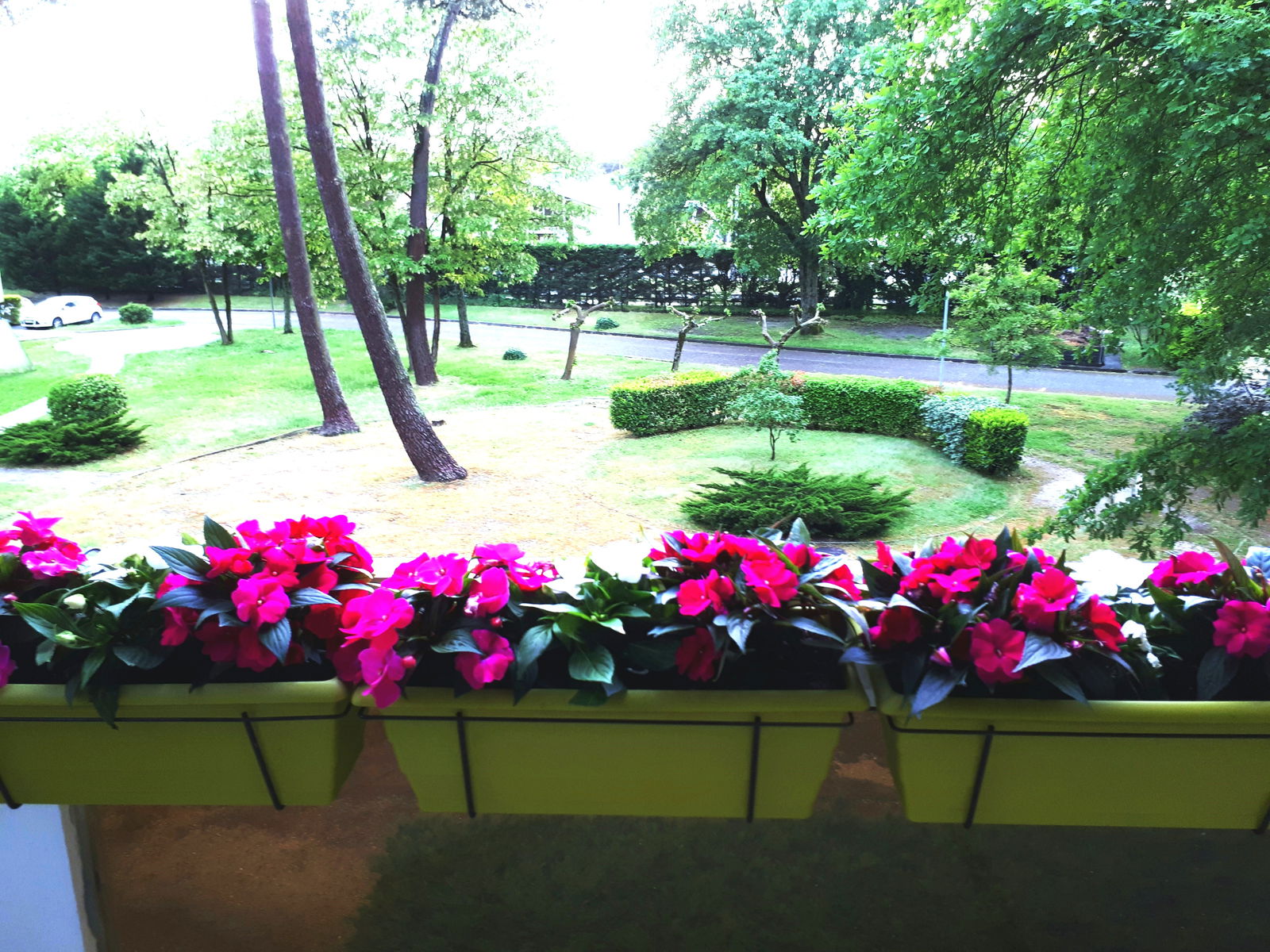 Homestay Mérignac 301944