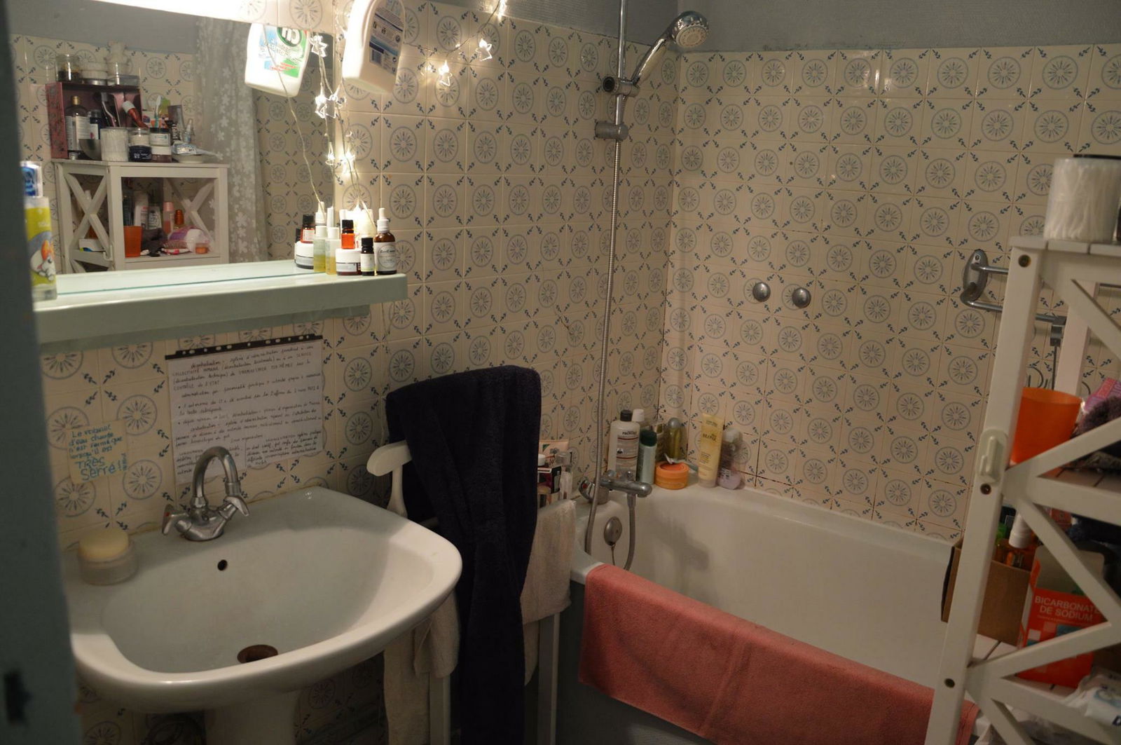 Colocation Lyon 101353