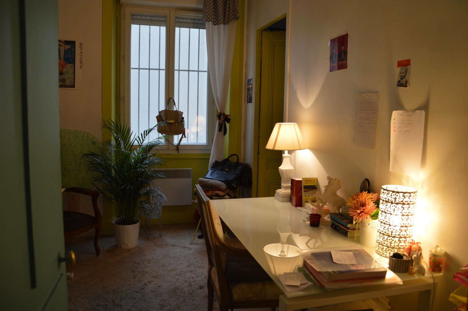 Colocation Lyon 101353