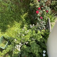 Homestay Arcueil 506526