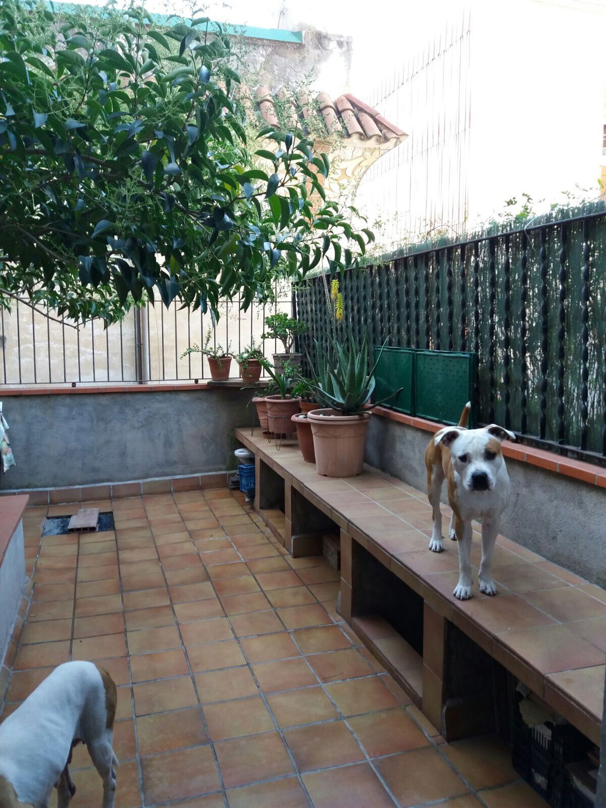 Bed And Breakfast Barcelona 173935