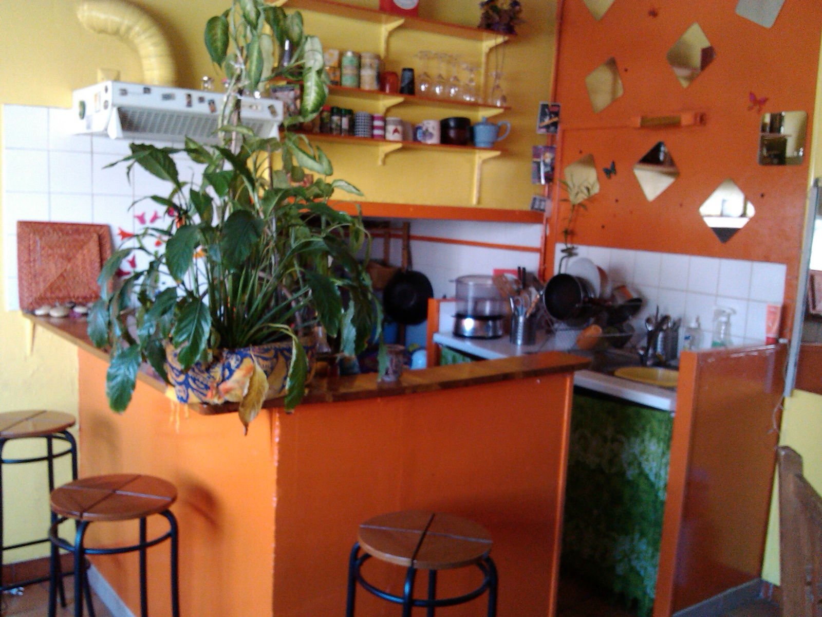 Homestay Montpellier 43361