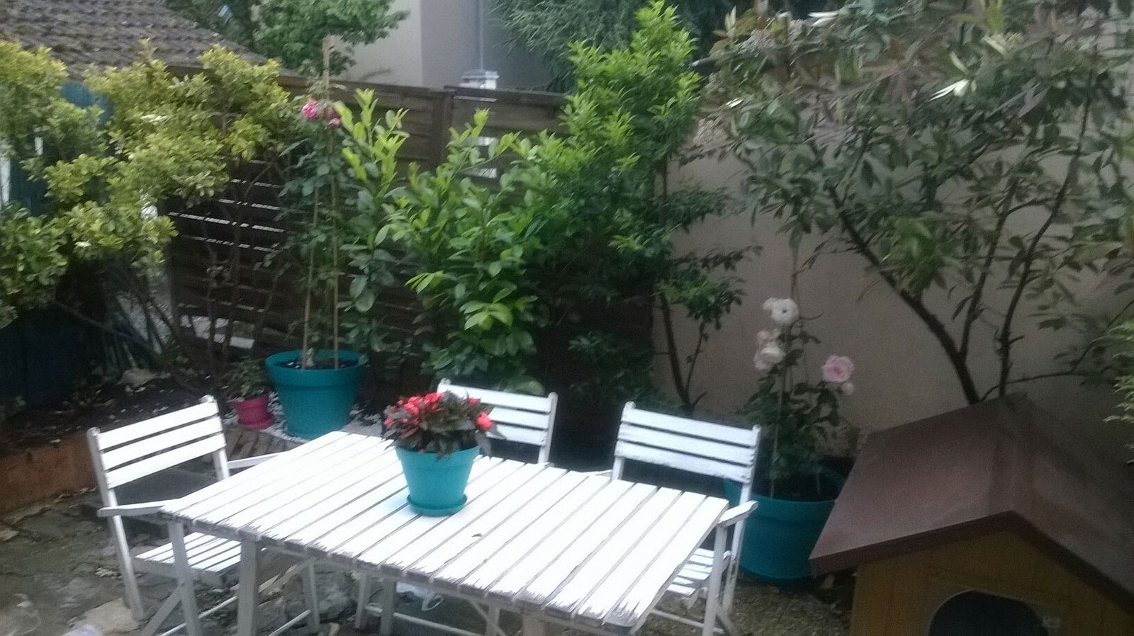 Homestay Chambéry 47752