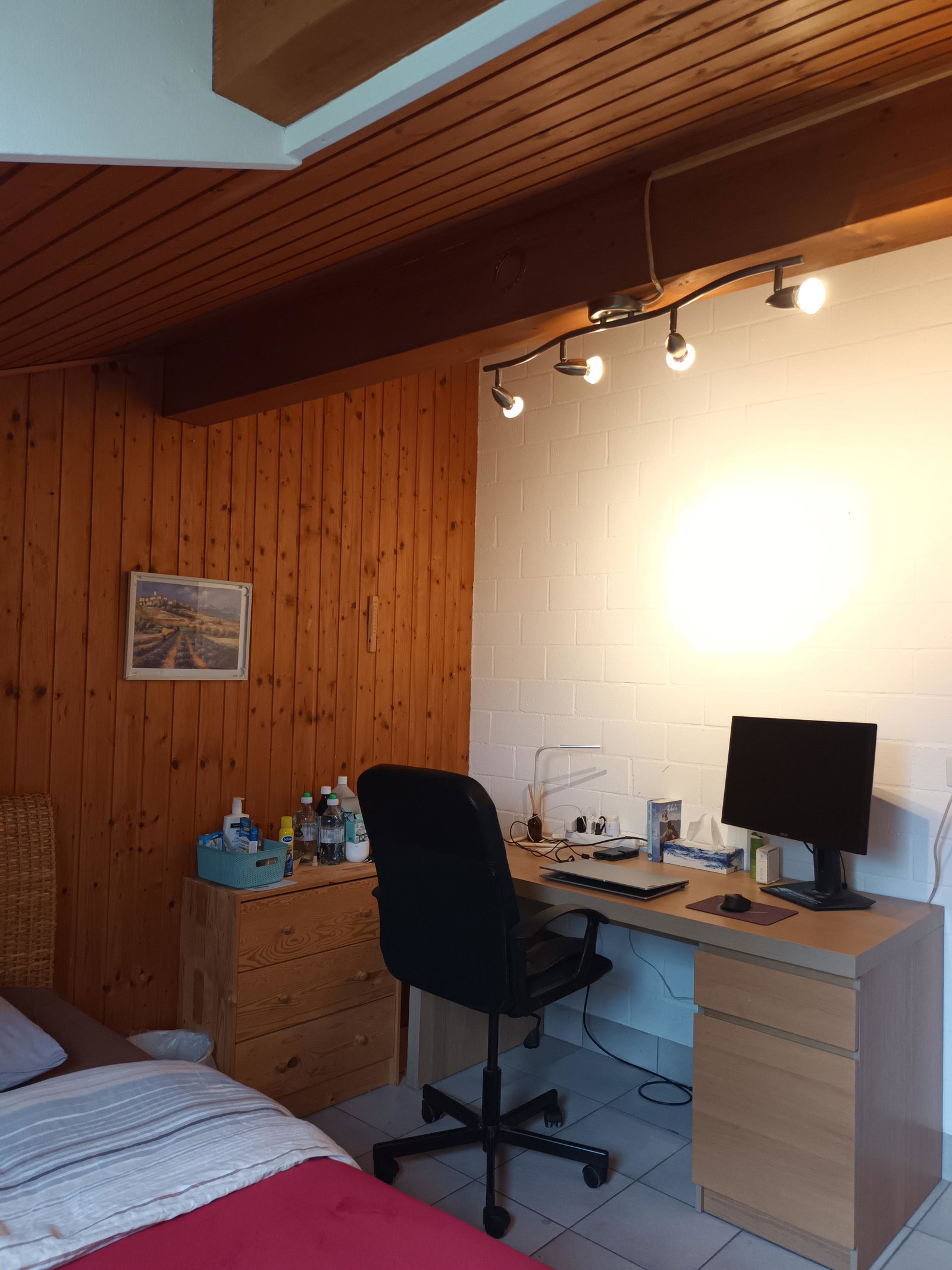 Homestay Plan-les-Ouates 116608