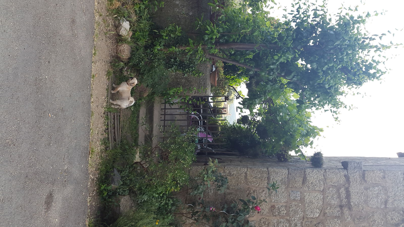 Homestay Fozzano 103889