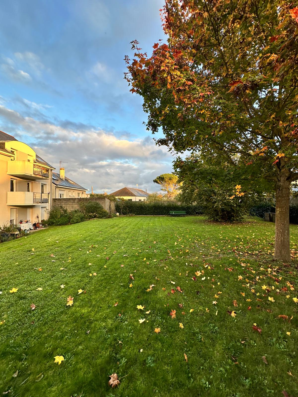 Colocation Angers 660725