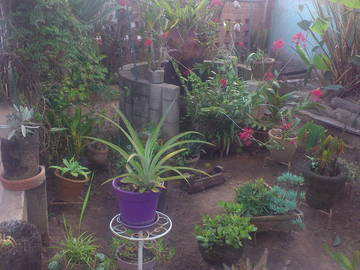 Homestay Antananarivo 205659-6