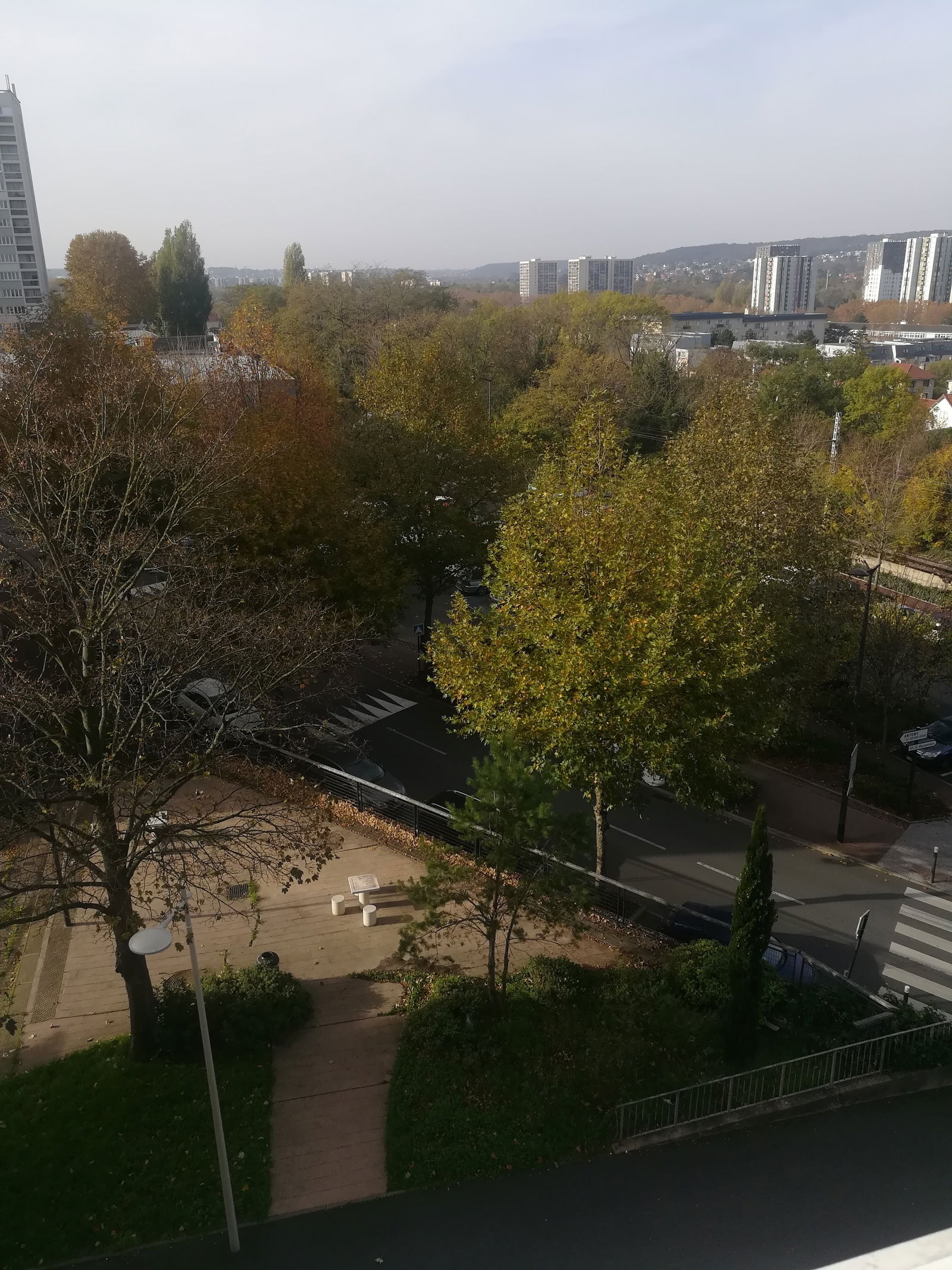 Colocation Antony 248442