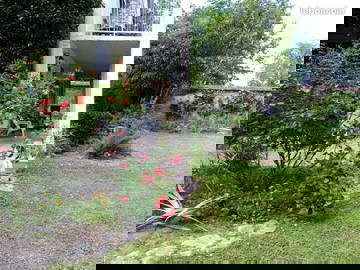 Chambre Chez L'habitant Thomery 323237-5