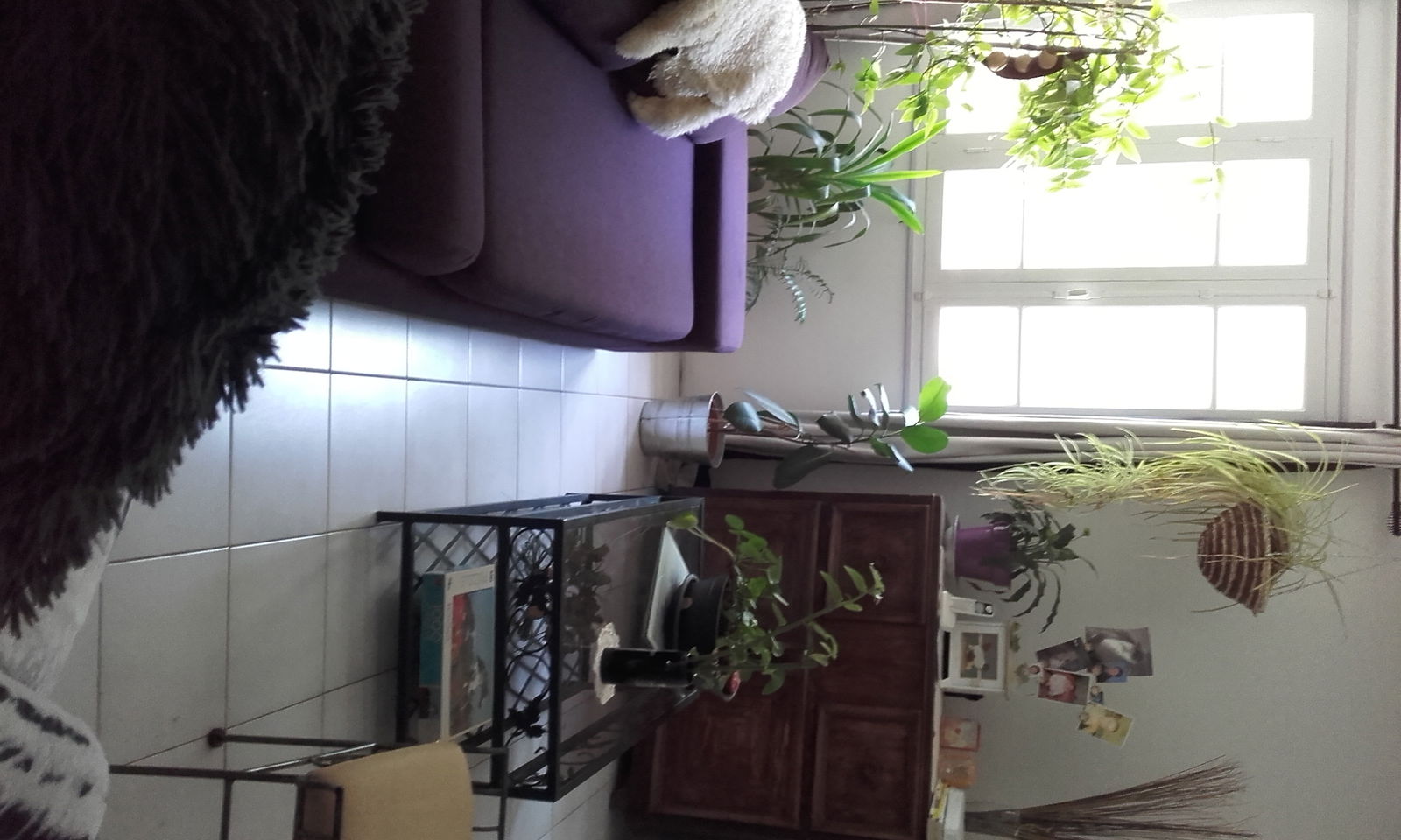 Homestay Rouvenac 48071