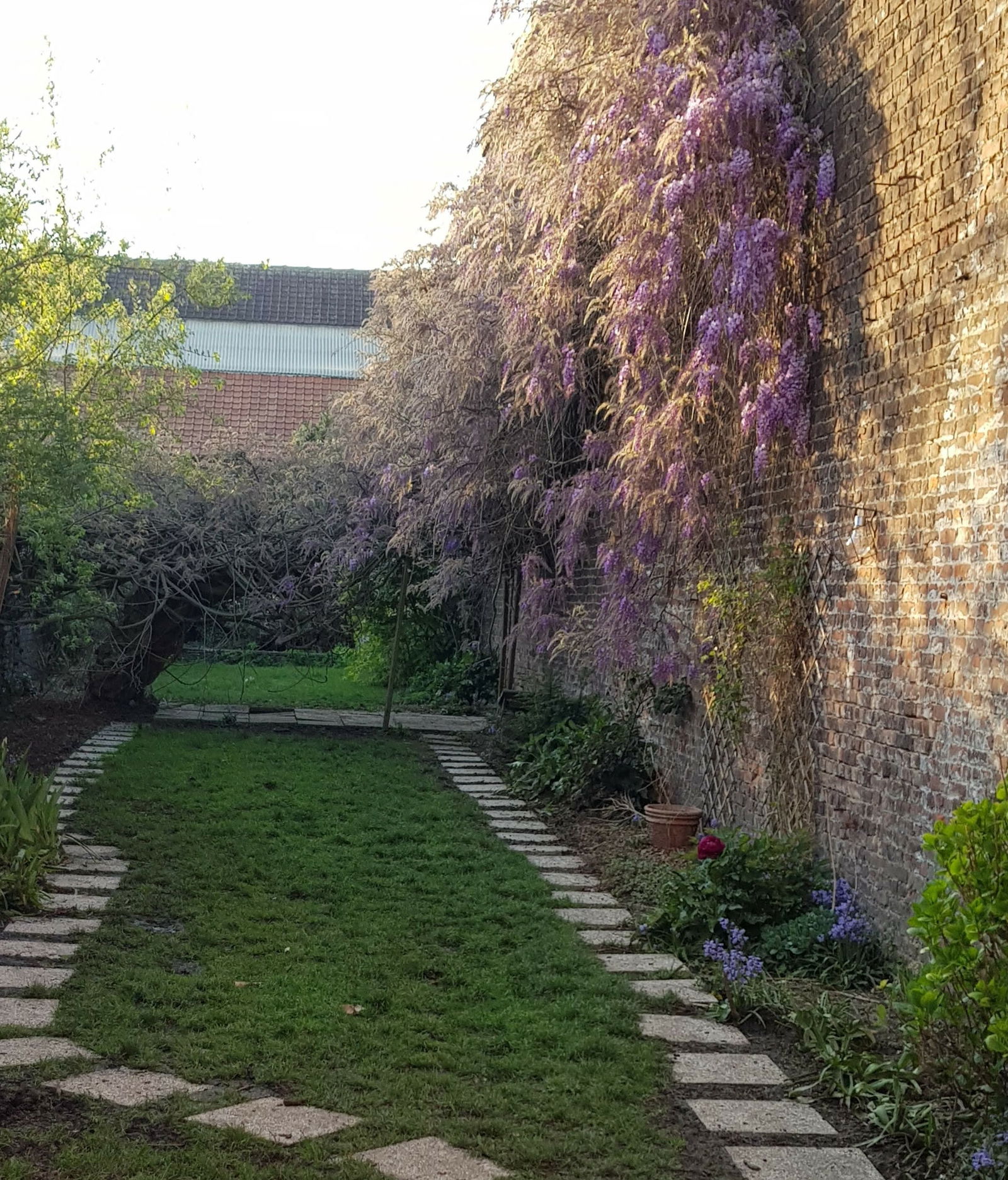 Homestay Tourcoing 256849