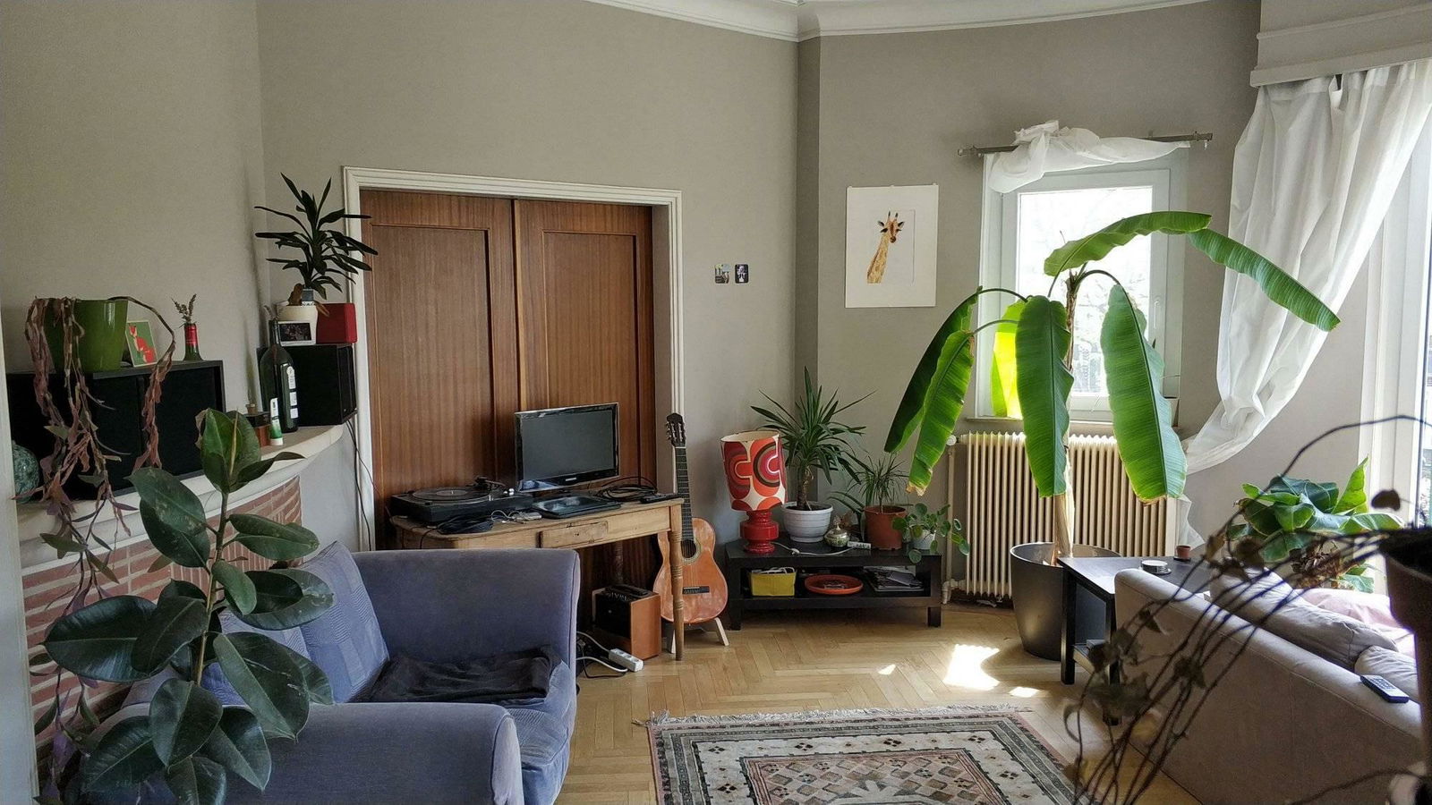 Homestay Forest 244941