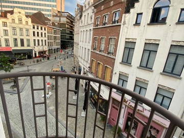 Gedeelde woning te huur in Brussel - foto 3: overige ruimte-3