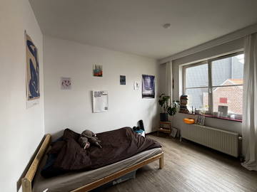 Gedeelde woning te huur in Brussel - foto 9: Slaapkamer-9