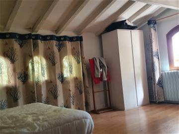 Room For Rent Colomiers 216850-1