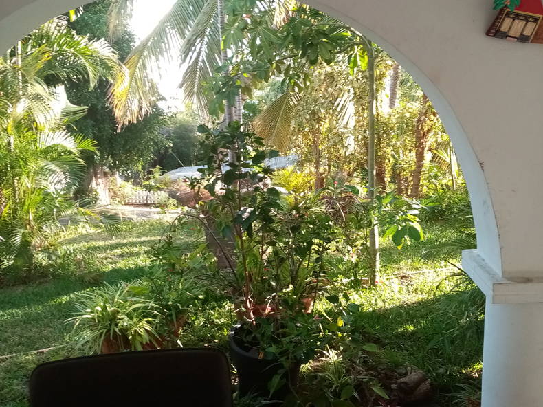 Zakwaterowanie U Rodziny Etang-Salé les Hauts 232871-3