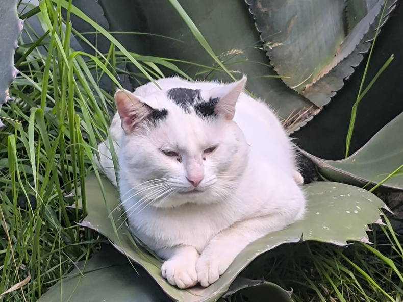 Toda La Casa Loriguilla 494899-1