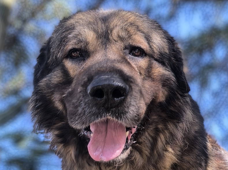 Toda La Casa Loriguilla 494899-3