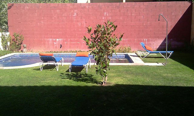 Homestay Coslada 18394