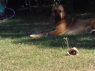 Homestay Cottenchy 89348-4