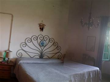 Room For Rent Populonia 222119