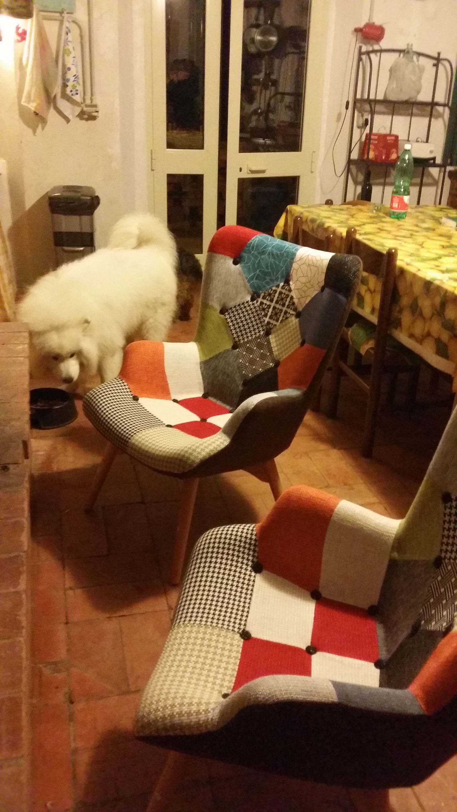Homestay Populonia 222119