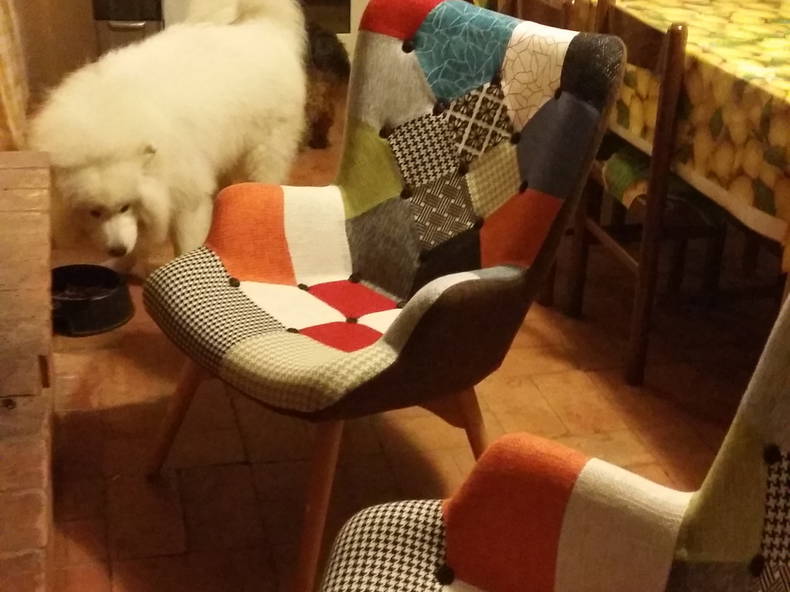 Quedarse En Casa Populonia 222119-4